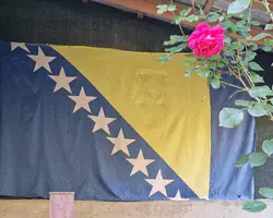 Bosanska zastava na drvenoj površini s ružom u gornjem desnom kutu.