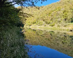 Krušnica rijeka okružena šumom u jesen, odraz u vodi.