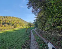 Krušnica rijeka s jesenskim bojama i šumom uz obalu.