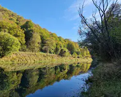 Krušnica rijeka okružena zelenim šumama i plavim nebom.