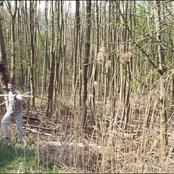 auto05.jpg