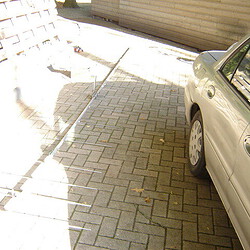 dsc04832sized.jpg