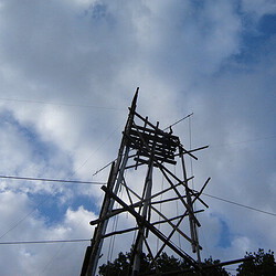 dsc04845sized.jpg