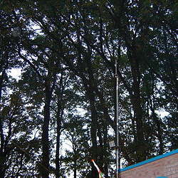 dsc04882sized.jpg