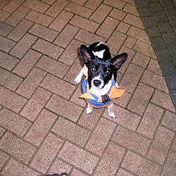 image437sized.jpg