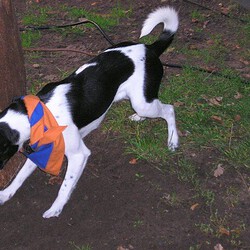 image446sized.jpg