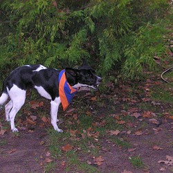 image447sized.jpg