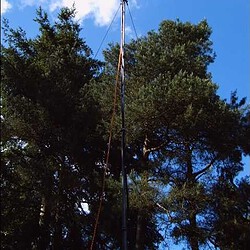 img00062.jpg