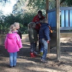 img_6910