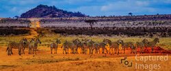 Rainbow Colors of Africa