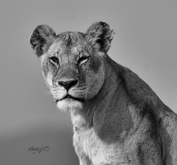 The Queen