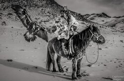 Rider of the Altai