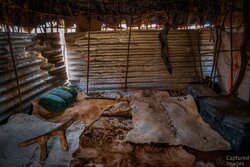 Sleeping Area of the Home