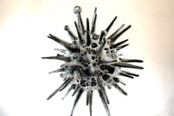 第53回 全陶展 奨励賞授賞