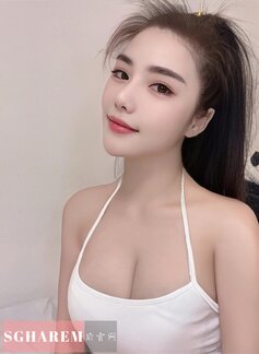 BeiBei-贝贝 【2293】 Profile Thumbnail Image