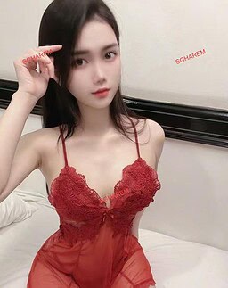 Thien Kim 越南 Vietnam 【2514】 Profile Thumbnail Image