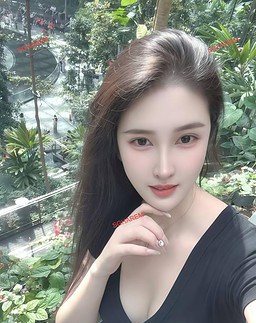 XingYu-星语 【2544】 Profile Thumbnail Image