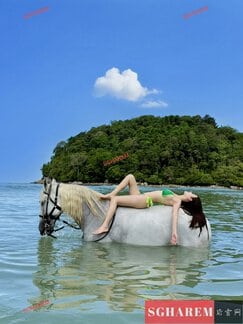 Liz-唯一 【2572】 Profile Thumbnail Image