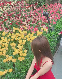 Ivy 越南 Vietnam 【2968】 Profile Thumbnail Image