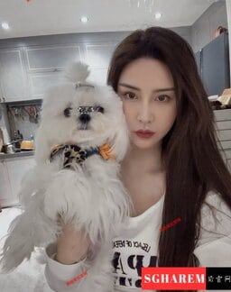 HongHong-红红 【2999】 Profile Thumbnail Image