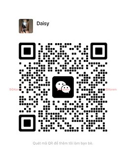Daisy 越南 Vietnam 【3090】 Profile Thumbnail Image