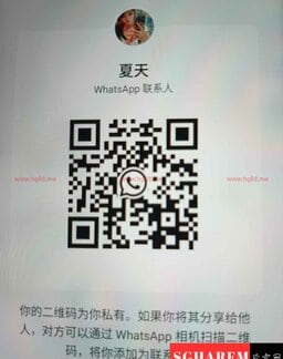 XiaTian-夏天 【3139】 Profile Thumbnail Image