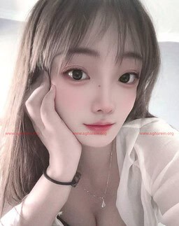 Diandian-点点 【3236】 Profile Thumbnail Image