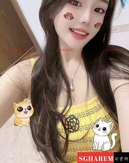 XiaTian-夏天 【3293】 Profile Thumbnail Image