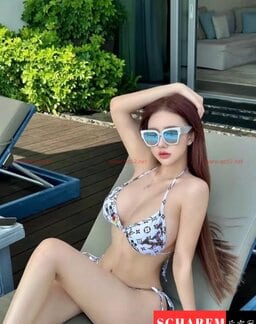 Baobao-宝宝 【3299】 Profile Thumbnail Image