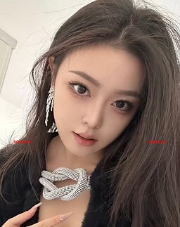 NianNian-念念 【3365】 Profile Thumbnail Image