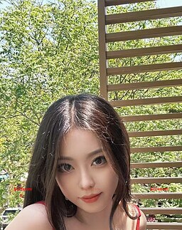 NianNian-念念 【3365】 Profile Thumbnail Image