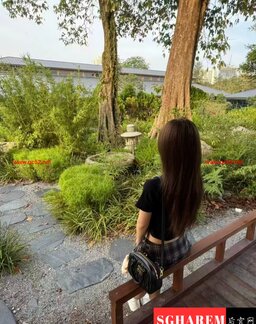 MiLai-米莱 【3386】 Profile Thumbnail Image