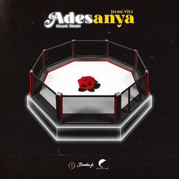 Adesanya explore African Music,music professional,subscriptions