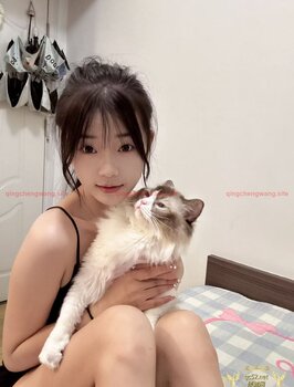 TangBao-糖宝 Thumbnail Image