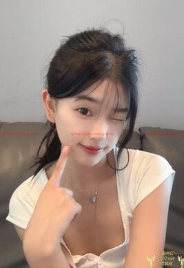 New Escort - TangBao-糖宝