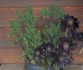 IMG_20231130_091822_HDR