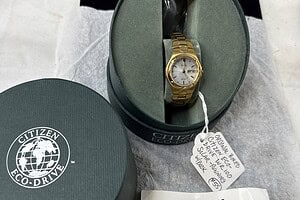 Bid Now in the New Year's Day 2026 Auction