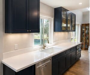 professional kitchen 1