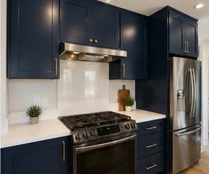 professional kitchen 2