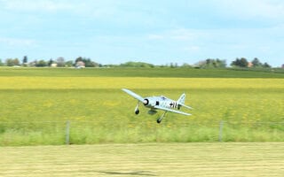 Im Vorbeiflug eingefangen