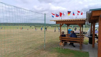 Zaungäste