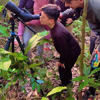 Family birdwatching trip suriname suriquest