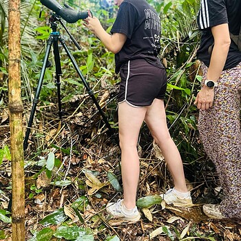 Tourists using spotting scope suriname trip