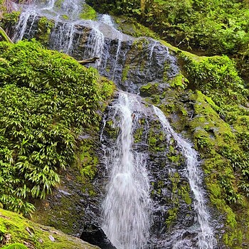 Waterfall rainforest suriname suriquest trip