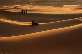 Mehran Nikimaleki Mehran Nikimaleki