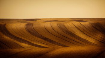 Alireza Masoumy Alireza Masoumy