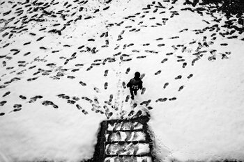 Samira Saryani Minimalist