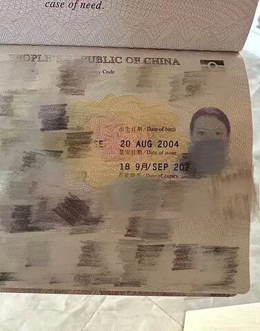 WenJing-文静 【2937】 Singapore (SG) Largest Escort Directory | No.1 SG Escort Service | SG Escort | 新加坡伴游 | 新加坡外围