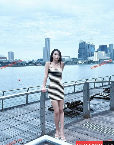 WenJing-文静 【2937】 Singapore (SG) Largest Escort Directory | No.1 SG Escort Service | SG Escort | 新加坡伴游 | 新加坡外围