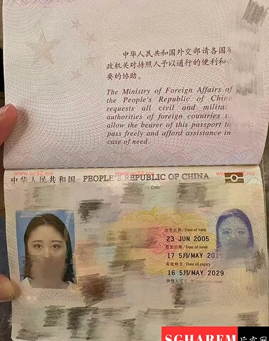 Diandian-点点 【3049】 Singapore (SG) Largest Escort Directory | No.1 SG Escort Service | SG Escort | 新加坡伴游 | 新加坡外围